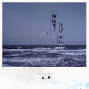 91小资源视频在线观看
